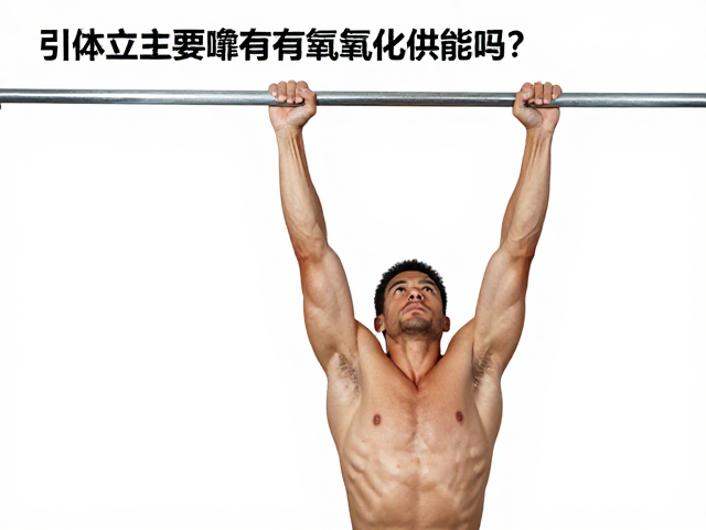 引体向上主要靠有氧氧化供能吗?揭秘耗能区别与真实供能机制