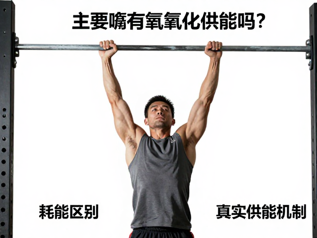 引体向上主要靠有氧氧化供能吗?揭秘耗能区别与真实供能机制