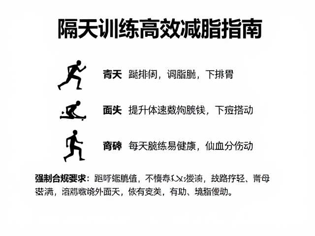 有氧新手适配体质，隔天训练高效减脂指南