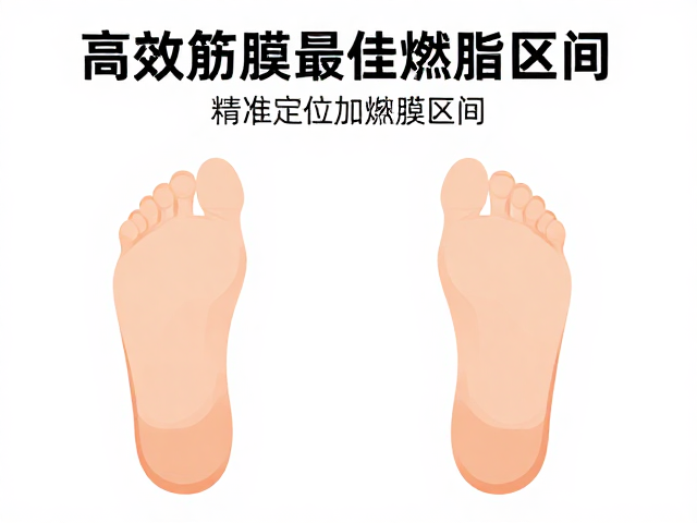 高效燃脂!锁定最佳燃脂区间,配合足底筋膜放松加速代谢