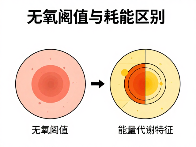 无氧阈值与耗能区别,每周训练频率如何优化效率?