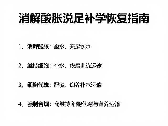 消解酸胀，充足饮水，控制训练频率的科学恢复指南