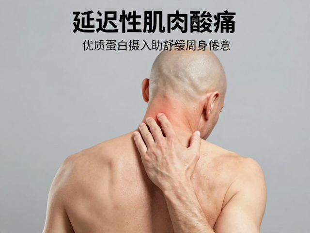 缓解延迟性肌肉酸痛,优质蛋白摄入助舒缓周身倦意