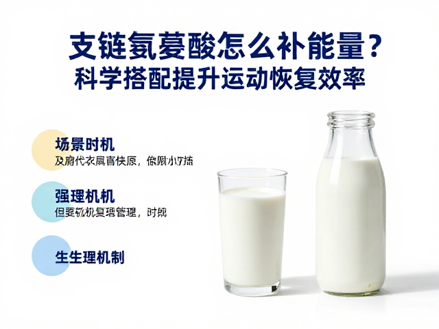 牛奶，支链氨基酸怎么补能量？科学搭配提升运动恢复效率