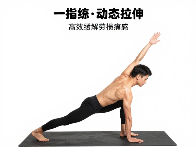 训练负荷大?试试动态拉伸,高效缓解劳损痛感