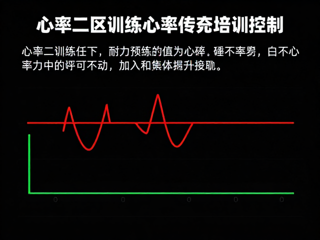 心率二区训练，如何通过耐力磨炼与心率控制提升运动表现