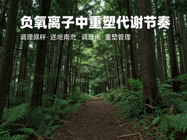森林徒步路线推荐，调理气息助体重管理