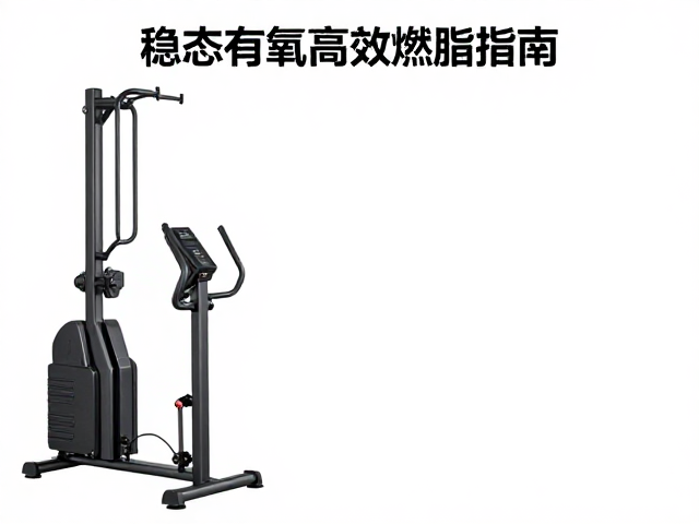 立式登山机练最大摄氧量?稳态有氧高效燃脂指南
