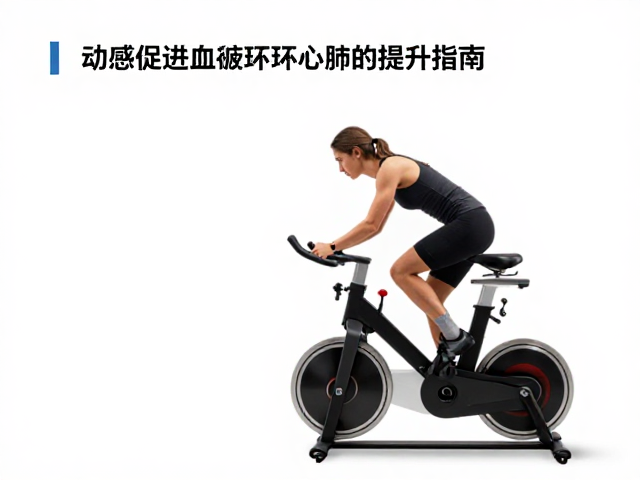 动感单车长距离耐力训练,高效促进血液循环与心肺提升指南