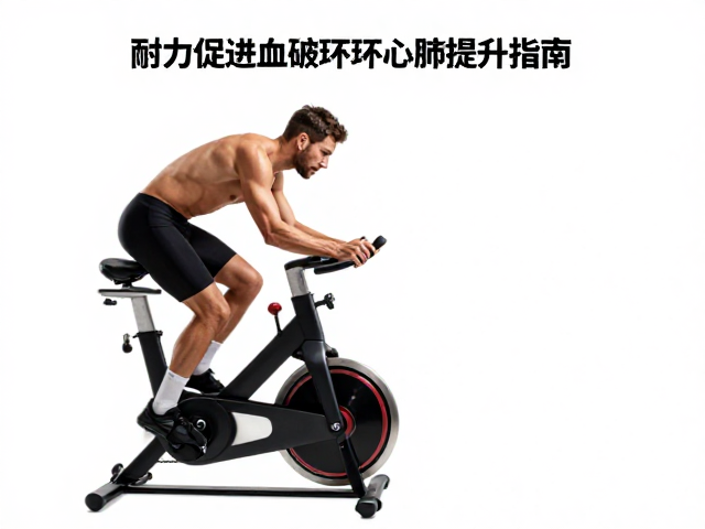 动感单车长距离耐力训练,高效促进血液循环与心肺提升指南