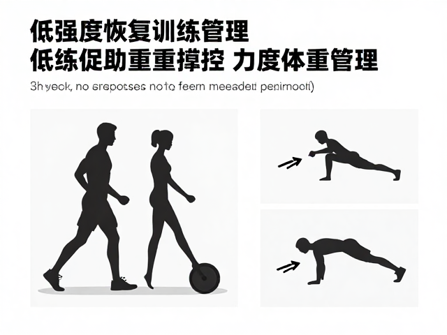 低强度恢复训练助体重管理,力度可控安全高效