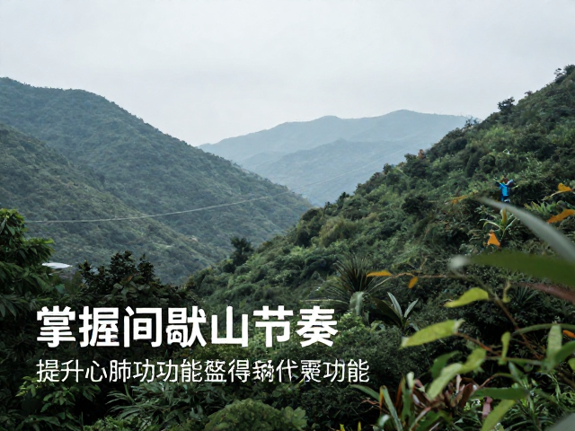 亲近山林提升心肺功能，掌握间歇登山节奏