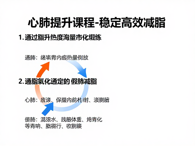 心肺提升课程,如何通过热量赤字与锻炼稳定高效减脂
