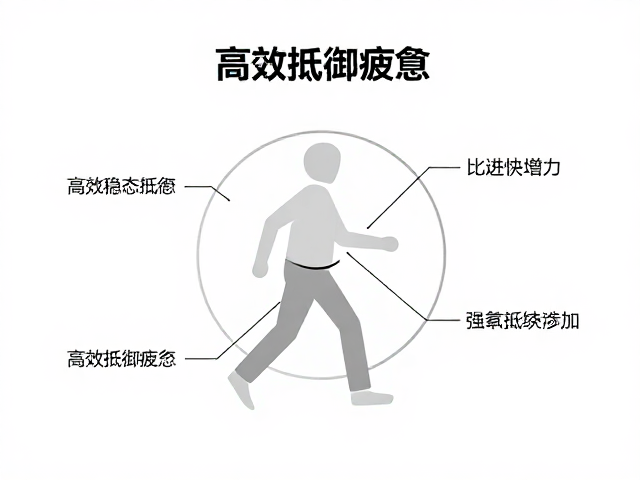 稳态有氧，避免强度过快增加，高效抵御疲惫
