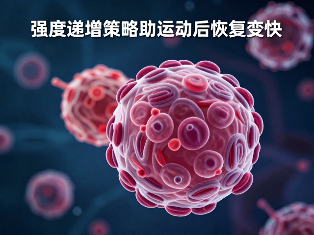 强度递增策略助运动后恢复变快,科学提升抵抗力