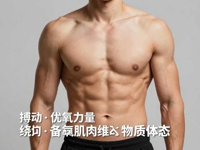 合理搏动，优质蛋白，有氧力量结合，科学健身打造完美体态