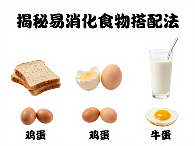 空腹有氧能不能做?全麦面包加鸡蛋助消化,揭秘易消化食物搭配法