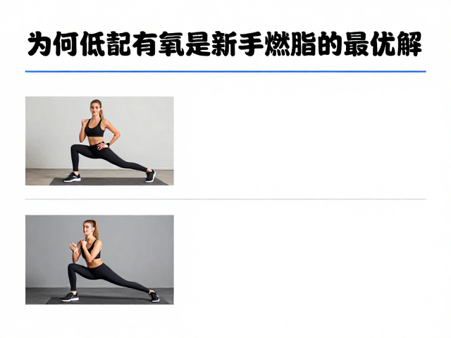 阻力适中,低冲击有氧,新手也能坚持的燃脂运动指南