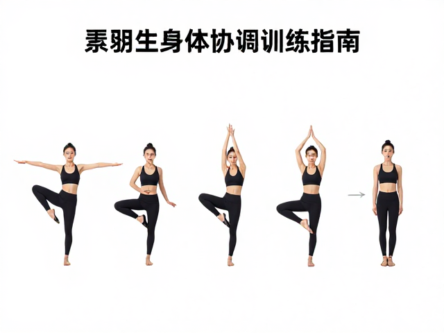 灵活肢体,循序渐进加量,全身协调,高效提升身体协调性的训练指南