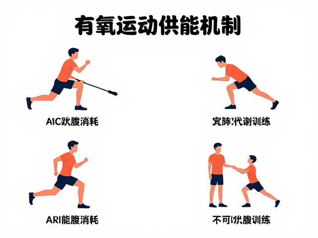 有氧运动供能机制,不同训练动作下的能量消耗与减脂效率解析