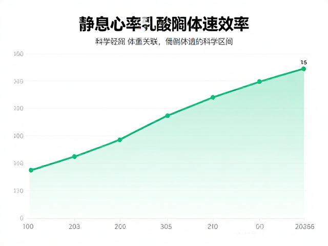 跑步配速换算,静息心率与体重关联,科学计算你的燃脂效率