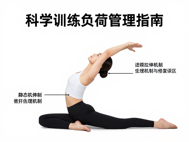 静态拉伸能否加速修复？科学训练负荷管理指南