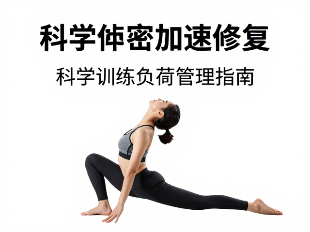 静态拉伸能否加速修复？科学训练负荷管理指南