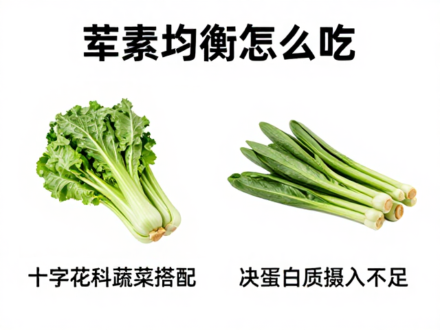 荤素均衡怎么吃？十字花科蔬菜搭配，解决蛋白质摄入不足