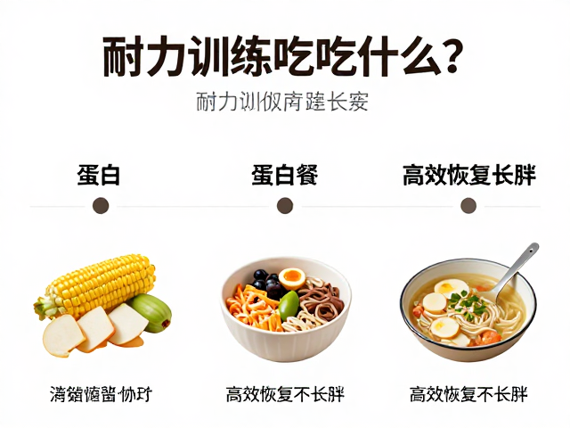 耐力训练后吃什么?三餐均衡搭配蛋白餐,高效恢复不长胖