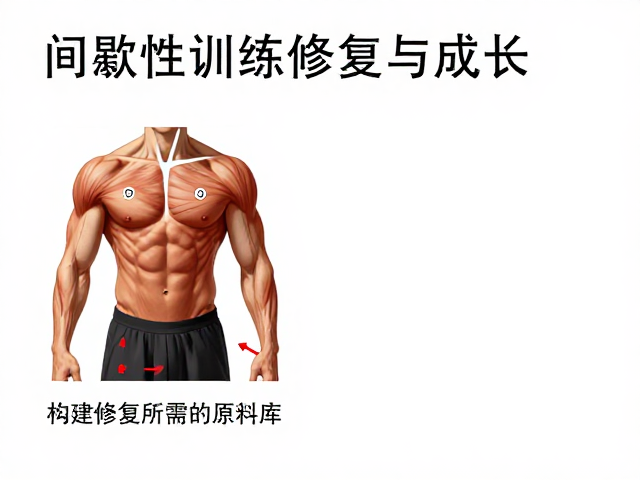 间歇性训练后肌肉修复与生长,高效适用场景指南