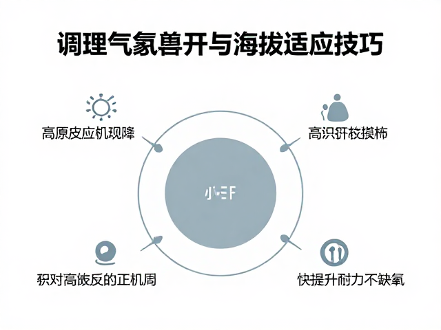 高原旅行必学,调理气息与海拔适应技巧,快速提升耐力不缺氧
