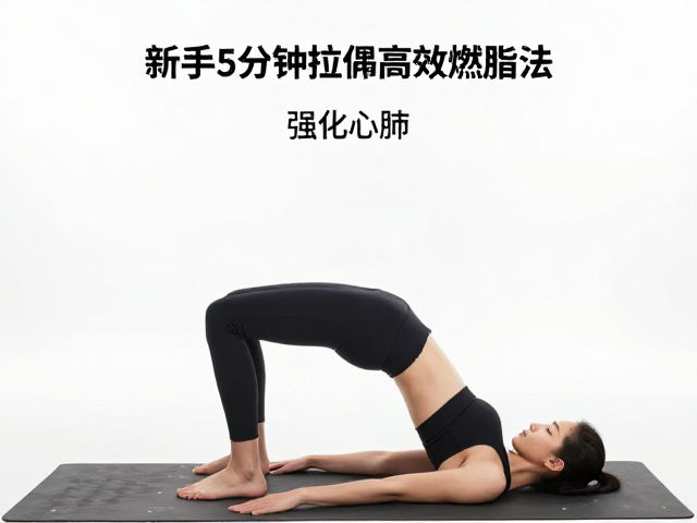 新手5分钟入门，强化心肺，小腿动态拉伸高效燃脂法