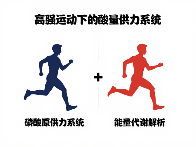 高强度运动下的磷酸原供能系统，强度差异与能量代谢解析