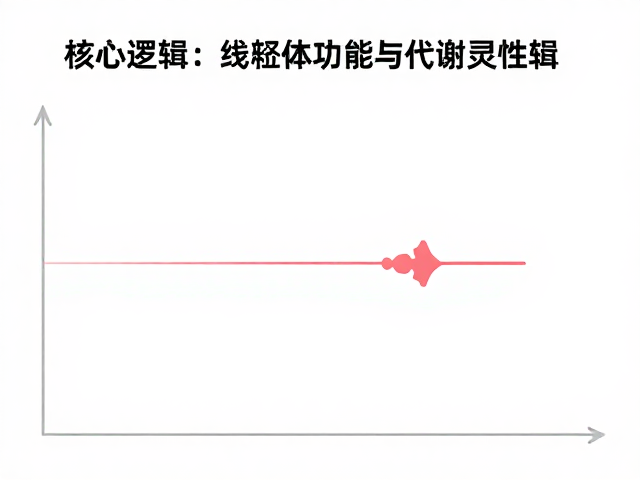 心率平稳不追求力竭,科学慢跑的核心逻辑与健康收益