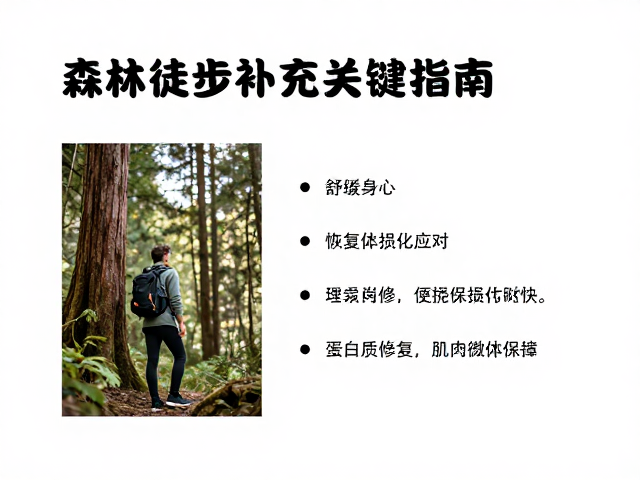 森林徒步后如何补充营养?舒缓身心,恢复体能的关键指南