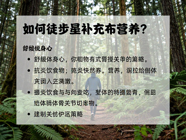 森林徒步后如何补充营养?舒缓身心,恢复体能的关键指南