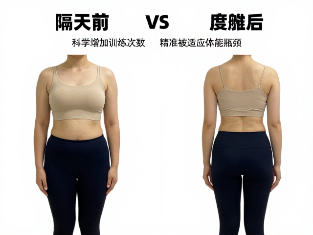 隔天训练效果更佳?科学增加训练次数,精准适应体能瓶颈