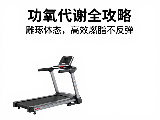 跑步机有氧代谢全攻略,雕琢体态,高效燃脂不反弹
