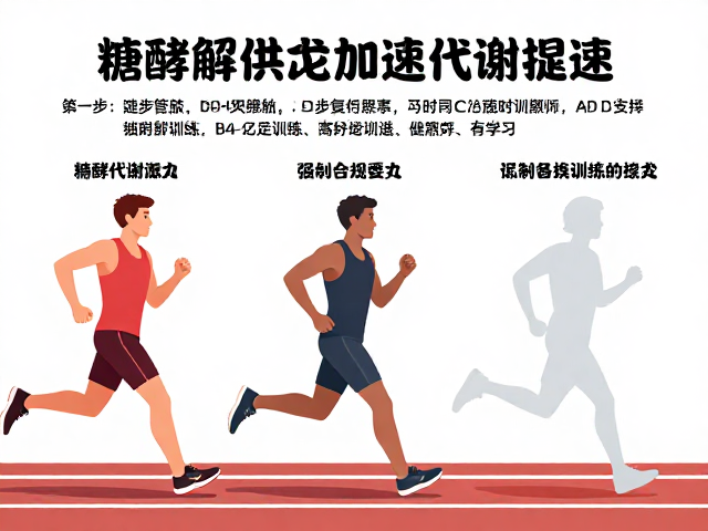 跑步训练营揭秘,如何通过糖酵解供能加速代谢提速