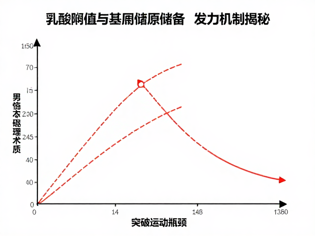 乳酸阈值与糖原储备，发力机制揭秘，突破运动瓶颈