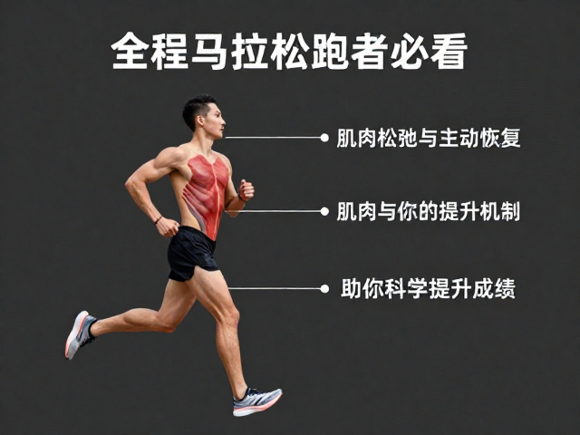全程马拉松跑者必看，肌肉松弛与主动恢复，助你科学提升成绩