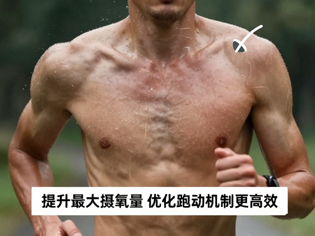 跑步出汗散热难？提升最大摄氧量优化跑动机制更高效