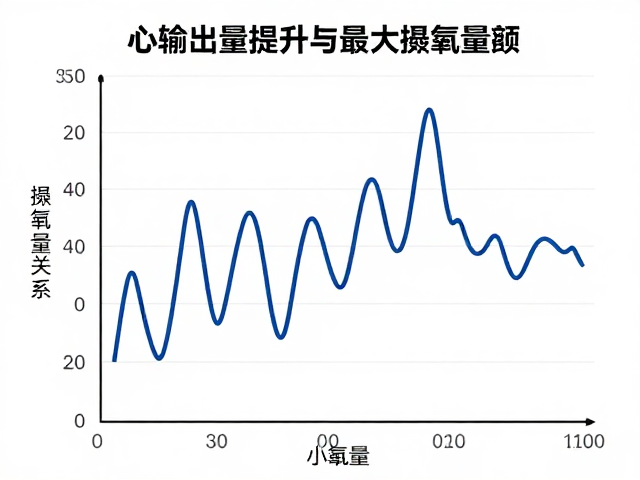 心输出量提升与最大摄氧量关系,优化体能代谢的科学指南