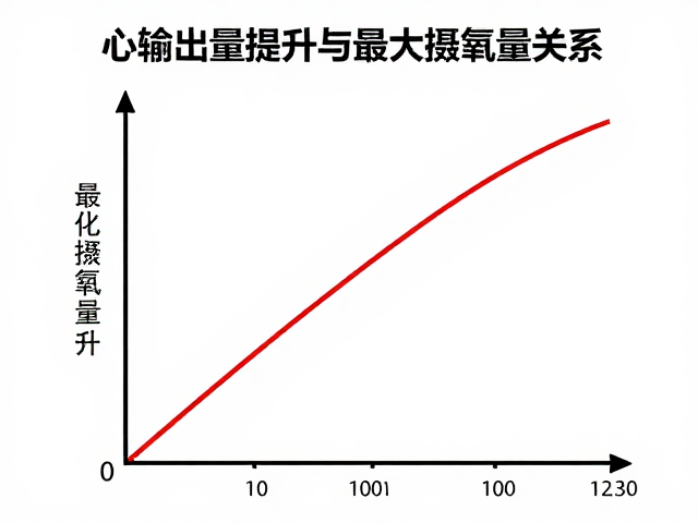 心输出量提升与最大摄氧量关系,优化体能代谢的科学指南