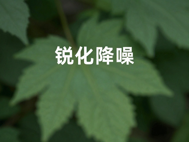 自然科普中的视觉引导：用镜头语言讲述生态故事