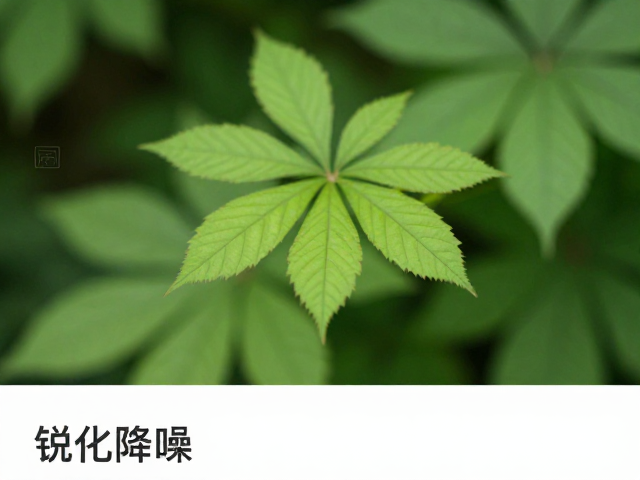 技术参数的科学应用：平衡画质与创作意图