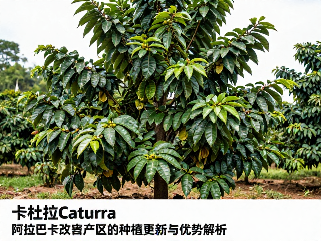 病害高发环境下的抗性表现与种植挑战