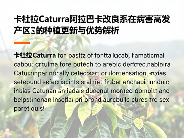 卡杜拉Caturra的起源与阿拉比卡改良背景