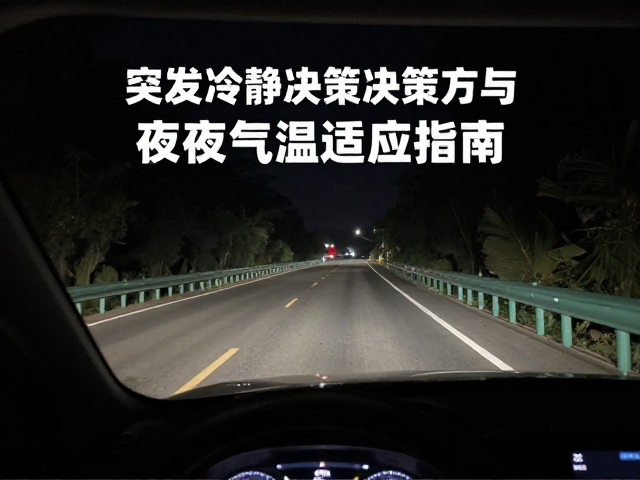 暗夜山路控车,突发冷静决策与夜间气温适应指南