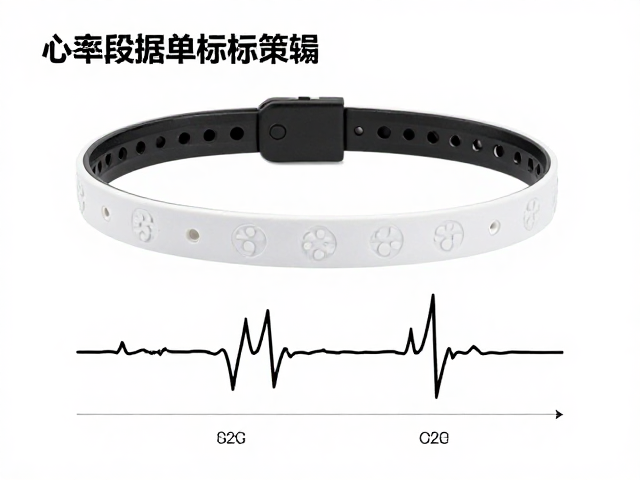 心率带数据标准解析,负分段策略如何优化运动表现